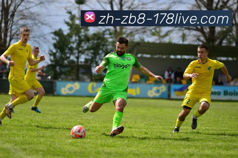 App Interface Preview