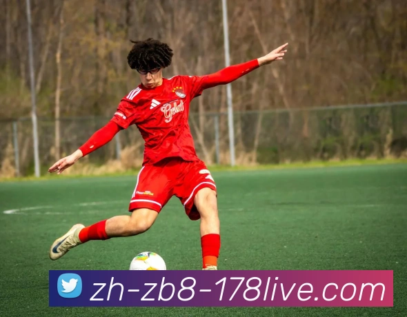 178体育直播APP 封面图